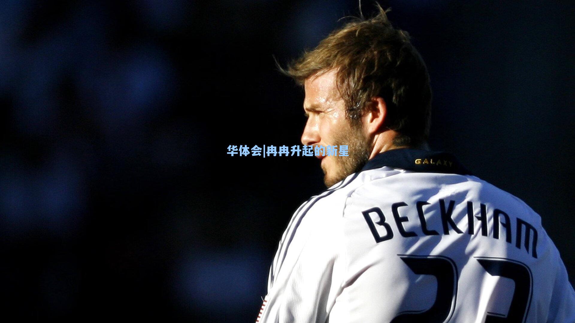 冉冉升起的新星