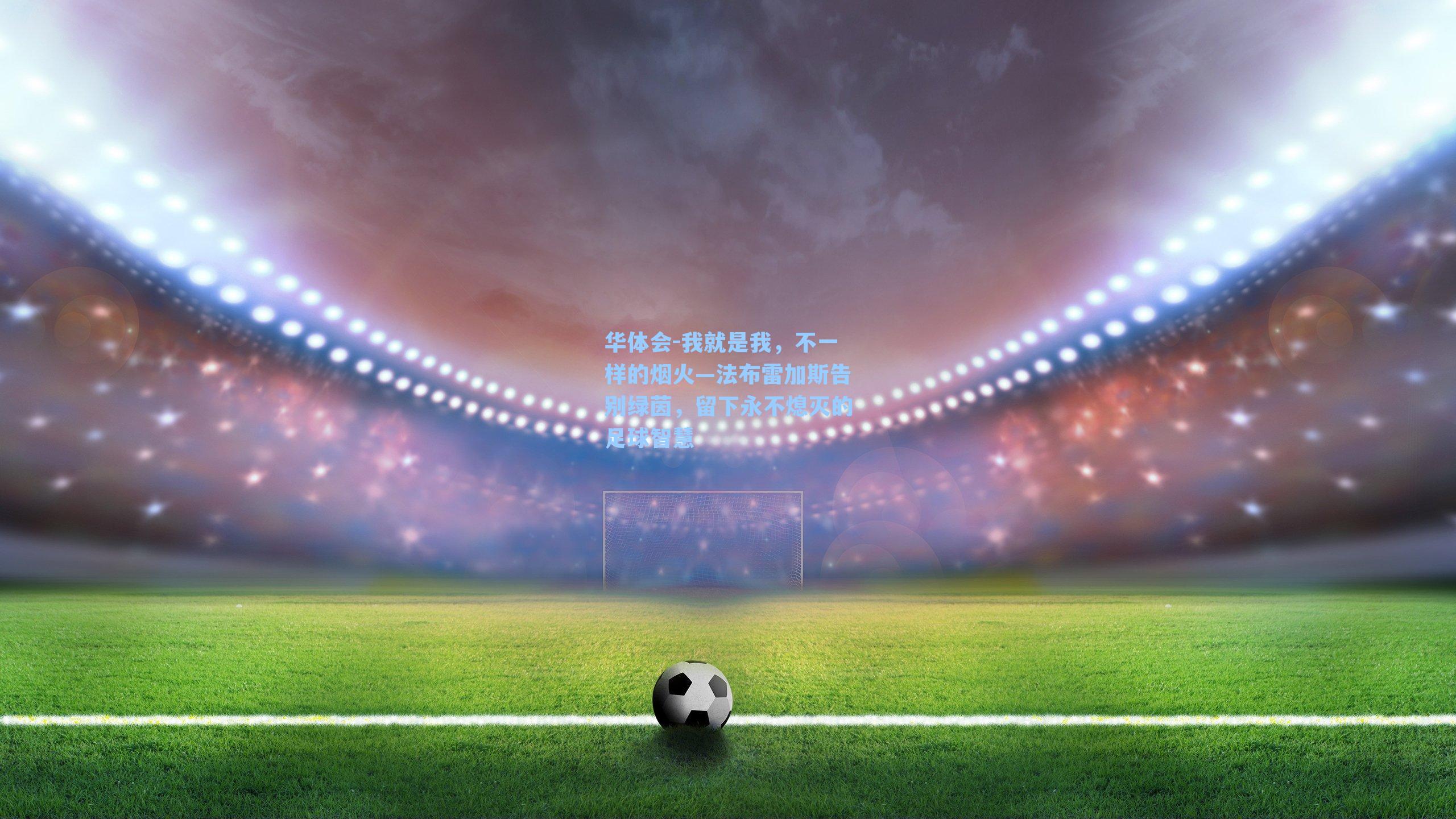我就是我,不一样的烟火—法布雷加斯告别绿茵,留下永不熄灭的足球智慧