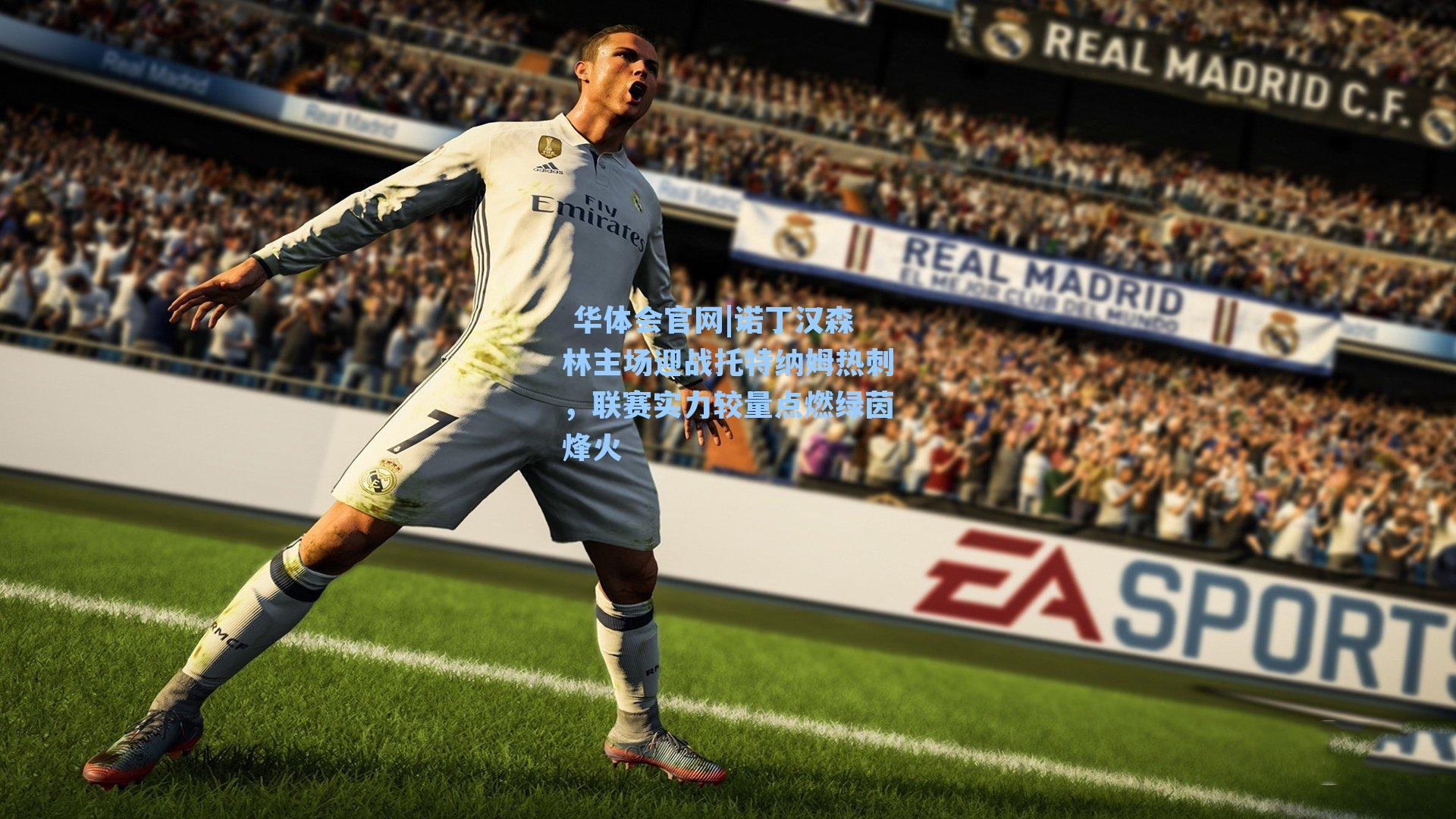 诺丁汉森林主场迎战托特纳姆热刺，联赛实力较量点燃绿茵烽火